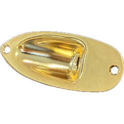 Jack Panel for Electric Guitar